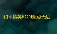 和平精英RON聚点无后除草手游辅助器